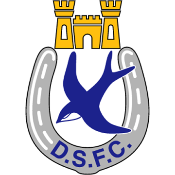 Dungannon Swifts logo