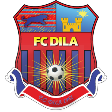 Dila Gori logo